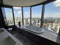 The Orchard Residences (D9), Apartment #478277071